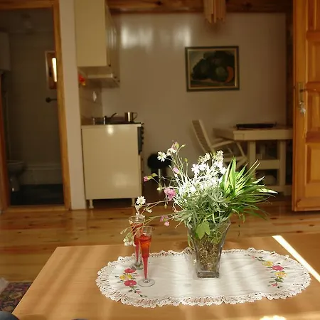 Apartment Milev
