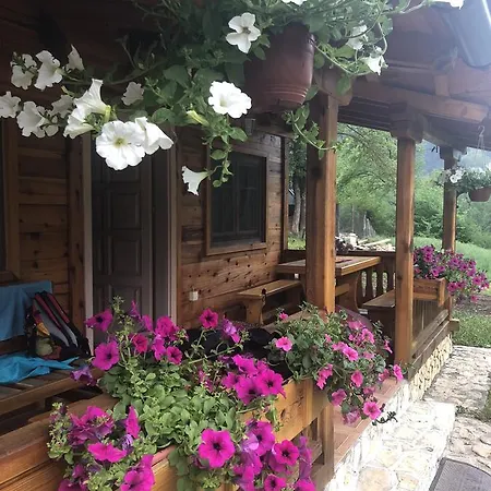 Milev * モクラ・ゴラ