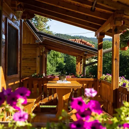 Milev Mokra Gora
