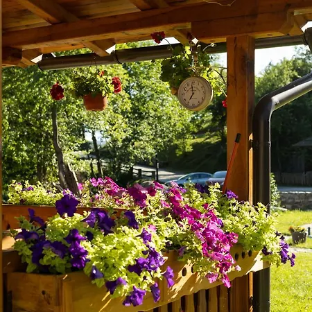 Milev * Мокра-Гора