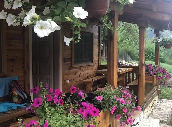 Milev * موكرا غورا